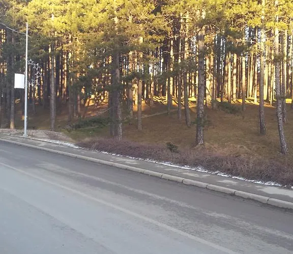 Jovana Apartamento Zlatibor