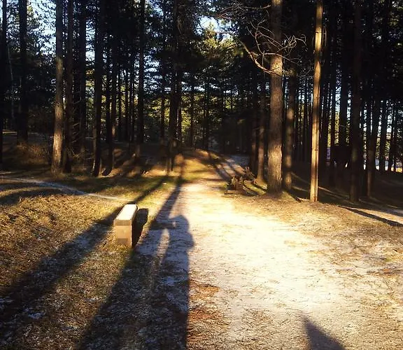 Jovana アパート *